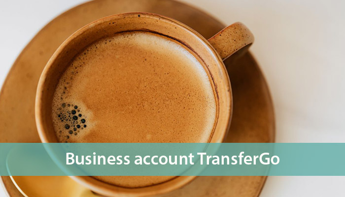 business account transfergo