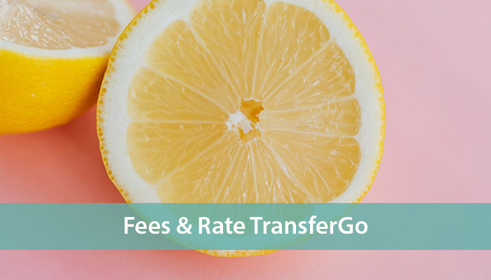 transfergo money transfer