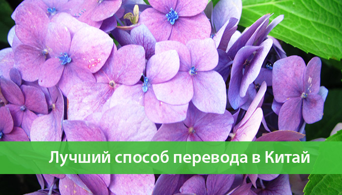 kak luchshe otpravit dengi v kitaj