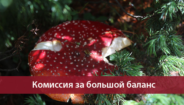 komisiya na balans