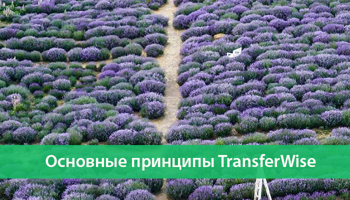 principy transferwise