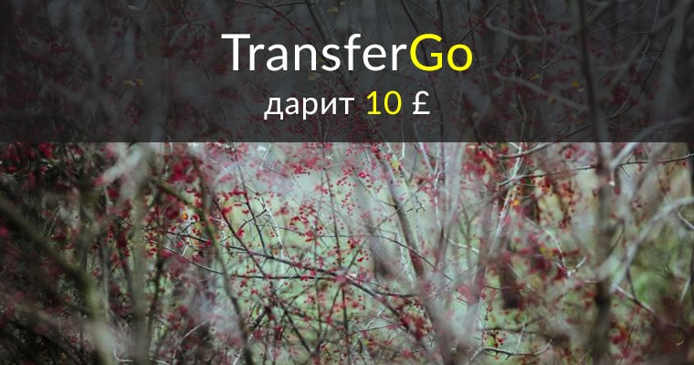 Трансфер Го дарит 10 фунтов